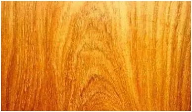 全球名貴木材鑒賞 從紫檀到沉香，您識(shí)得幾種？